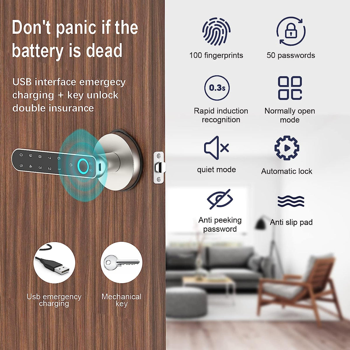 FILTWO Fingerprint Door Lock Handle Amman Joradn Teqane (7)