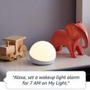 Amazon Echo Dot Kids Amman Jordan Smart Home Teqane.com امازون ايكو دوت اليكسا للاطفال المنزل الذكي عمّان الاردن تقني دوت كوم