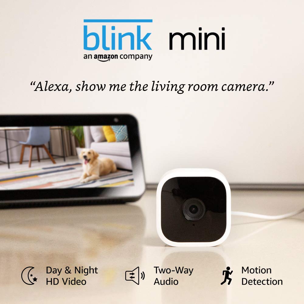 Blink Mini Security Camera Alexa Smart Home Amman Jordan Teqane.com بلينك ميني كاميرا عمان الاردن المنزل الذكي تقني دوت كوم