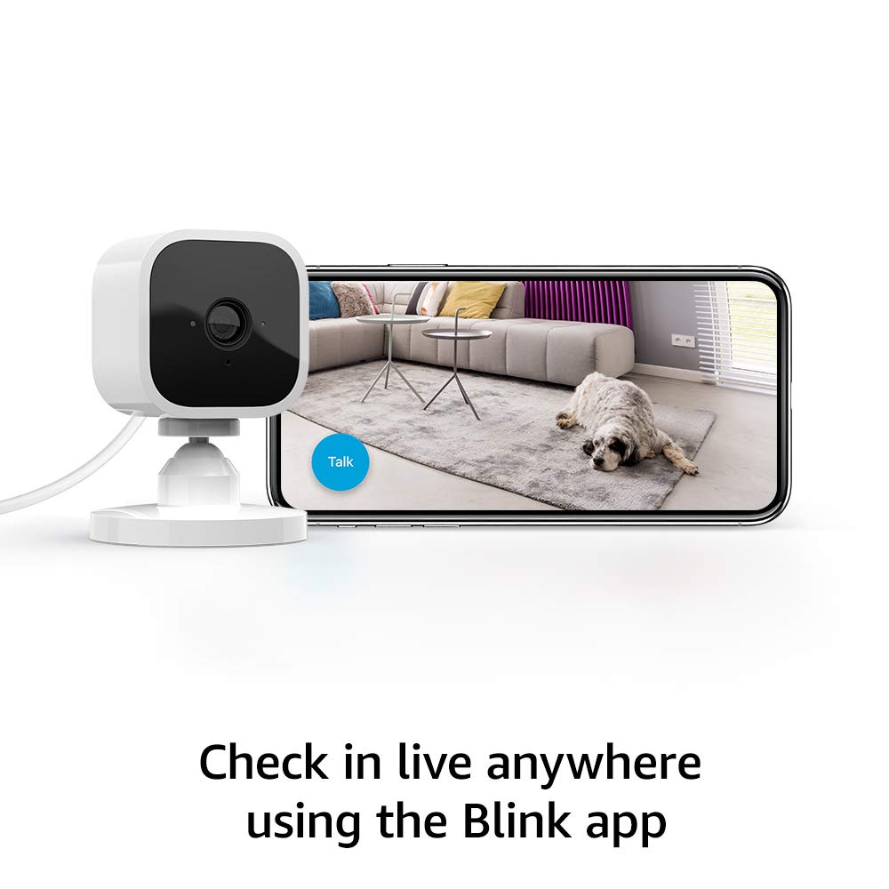  Blink Mini Security Camera Alexa Smart Home Amman Jordan Teqane.com بلينك ميني كاميرا عمان الاردن المنزل الذكي تقني دوت كوم